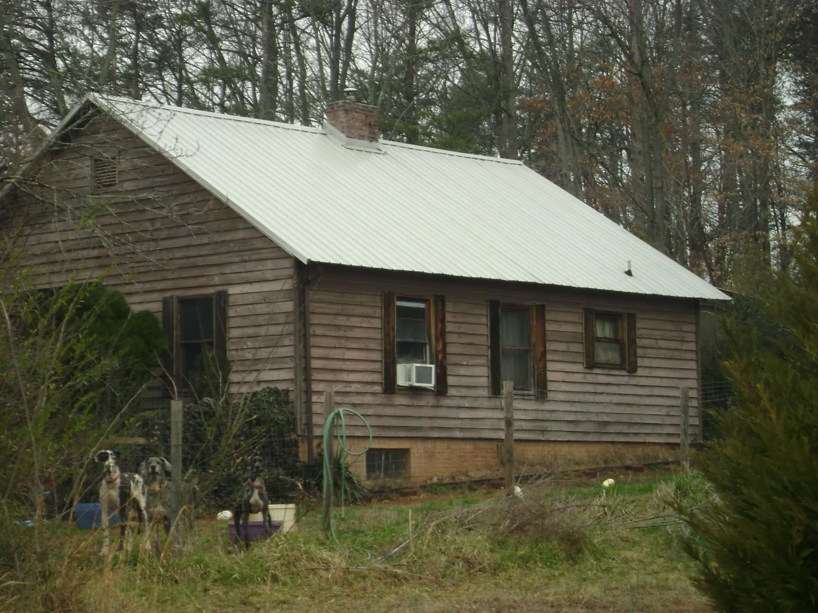 White metal roof on an old wood sided farmhouse, from a Asphalt Shingle Roof Repair job in Brandamore
